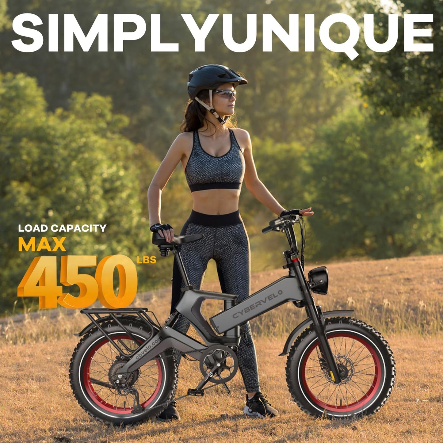 Folding Electric Bike