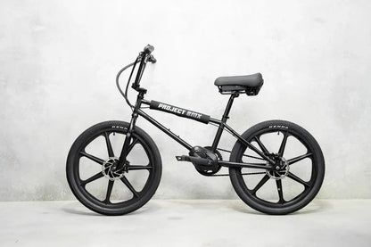 Lightweight Electric Bike