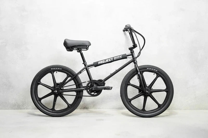Lightweight Electric Bike