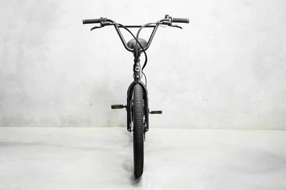 Lightweight Electric Bike