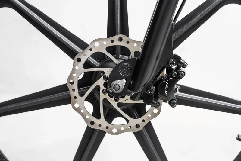 Lightweight Electric Bike