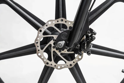 Lightweight Electric Bike